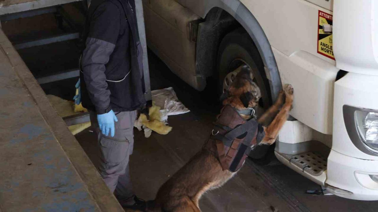 Kapıkule’de 144 kilo esrar ele geçirildi