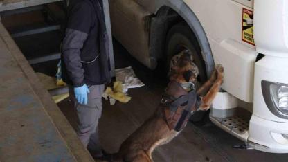 Kapıkule’de 144 kilo esrar ele geçirildi