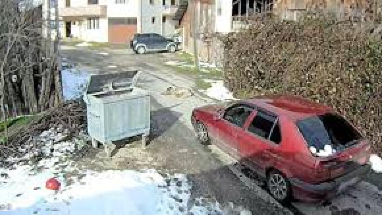 Köpeği ezen sürücü yakalandı