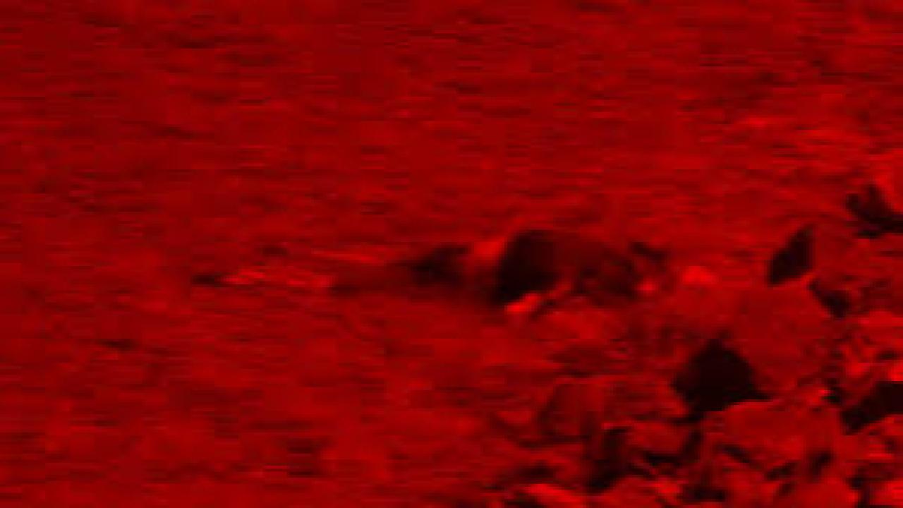 Çanakkale’de karaya vurmuş erkek cesedi bulundu