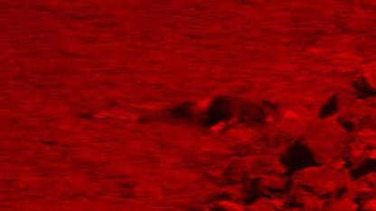 Çanakkale’de karaya vurmuş erkek cesedi bulundu