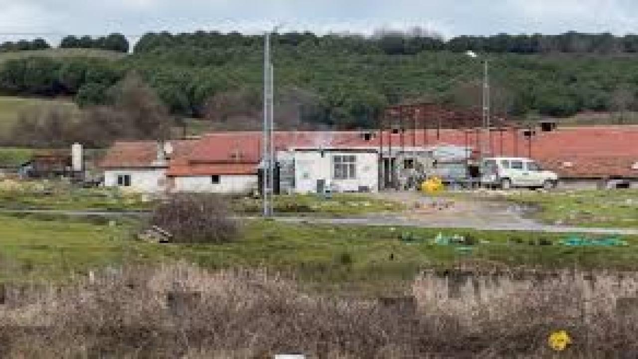 Çiftlik evinde dehşet