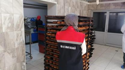 Erzurum’da gıda satışı yapan işletmeler denetlendi