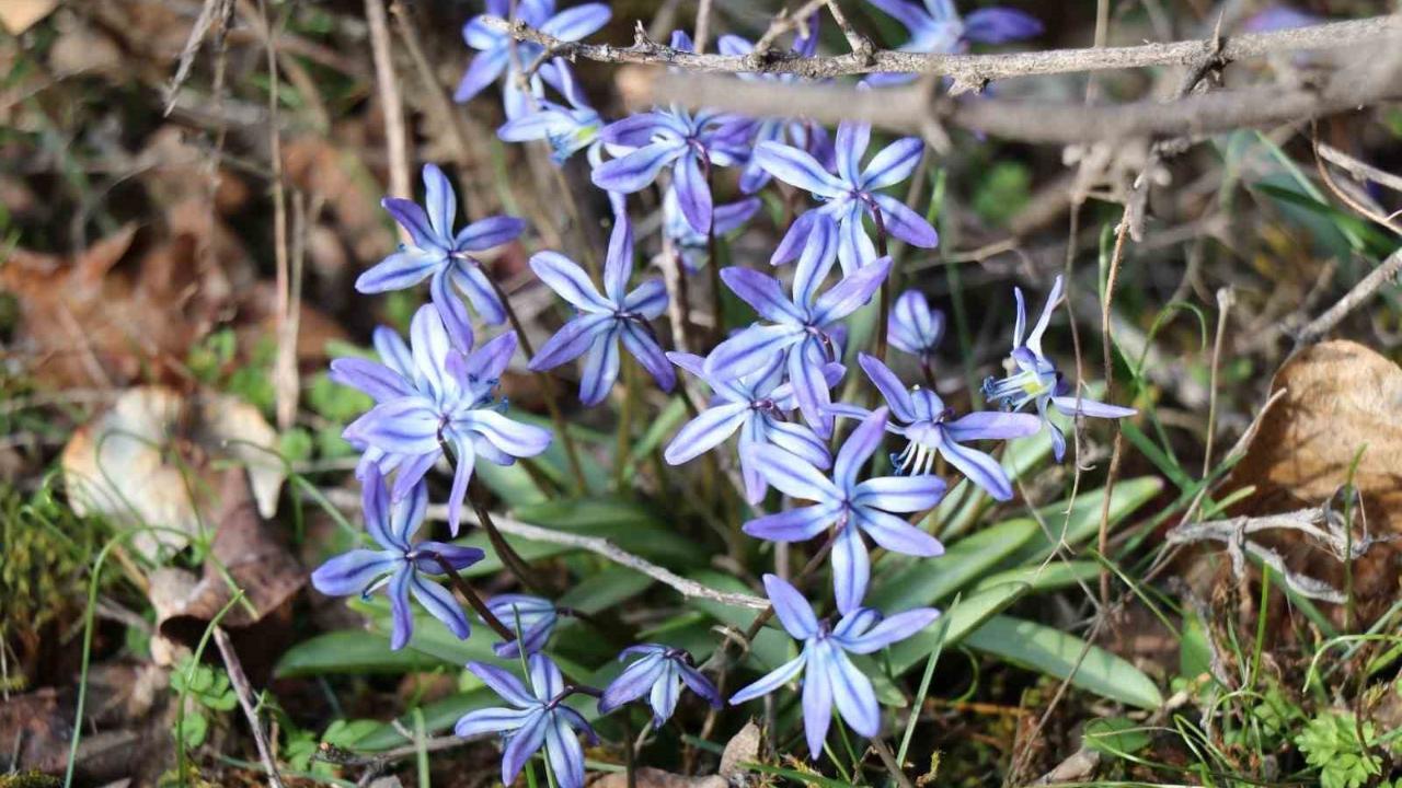 Erzurum’un bir yanı kış bir yanı bahar