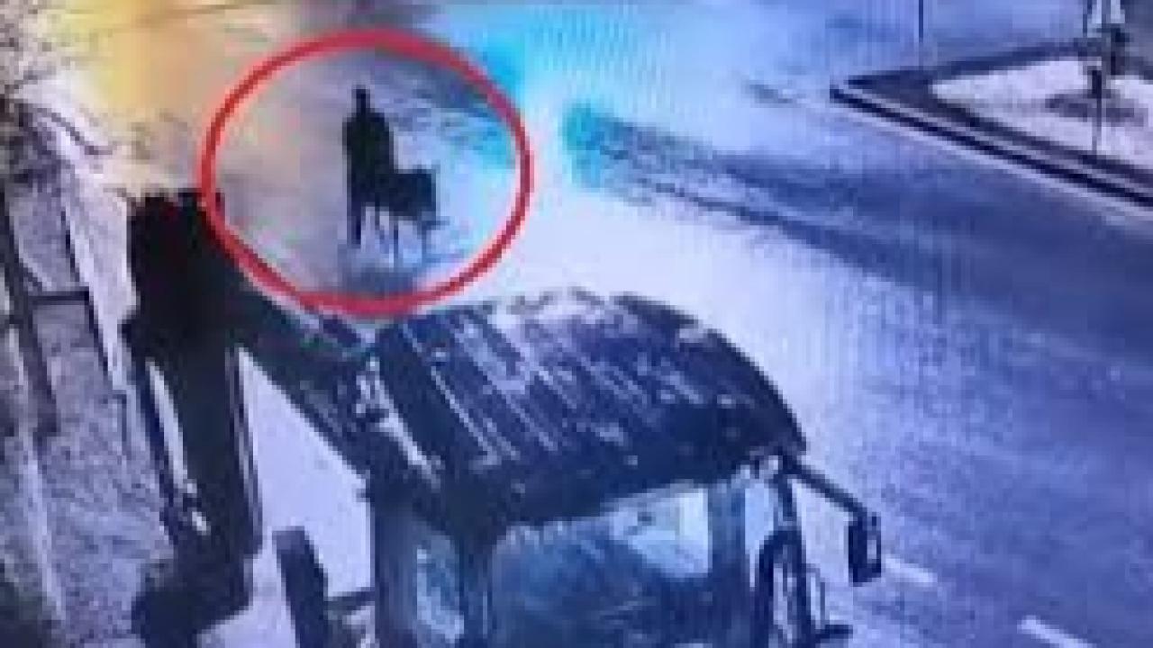 Forklifle gelmiş, eşekle kaçmış