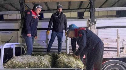 Hayvanlar aç kalmasın