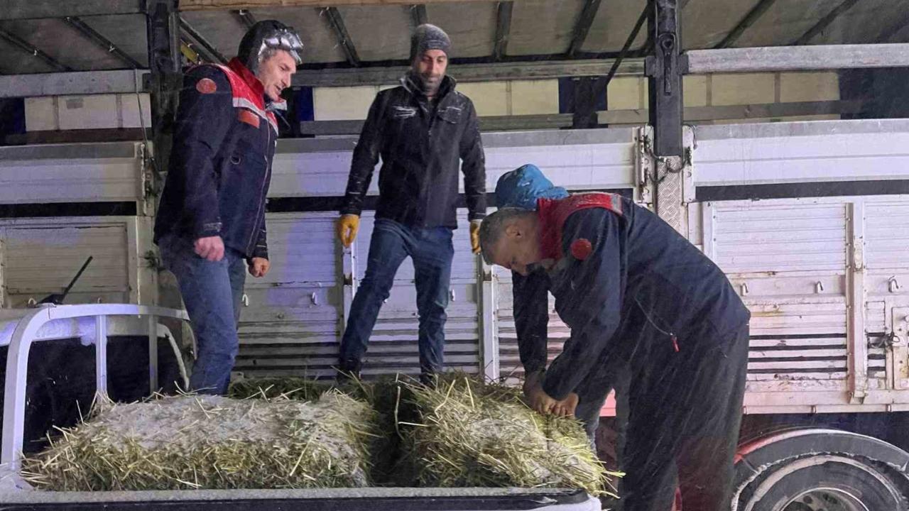 Hayvanlar aç kalmasın