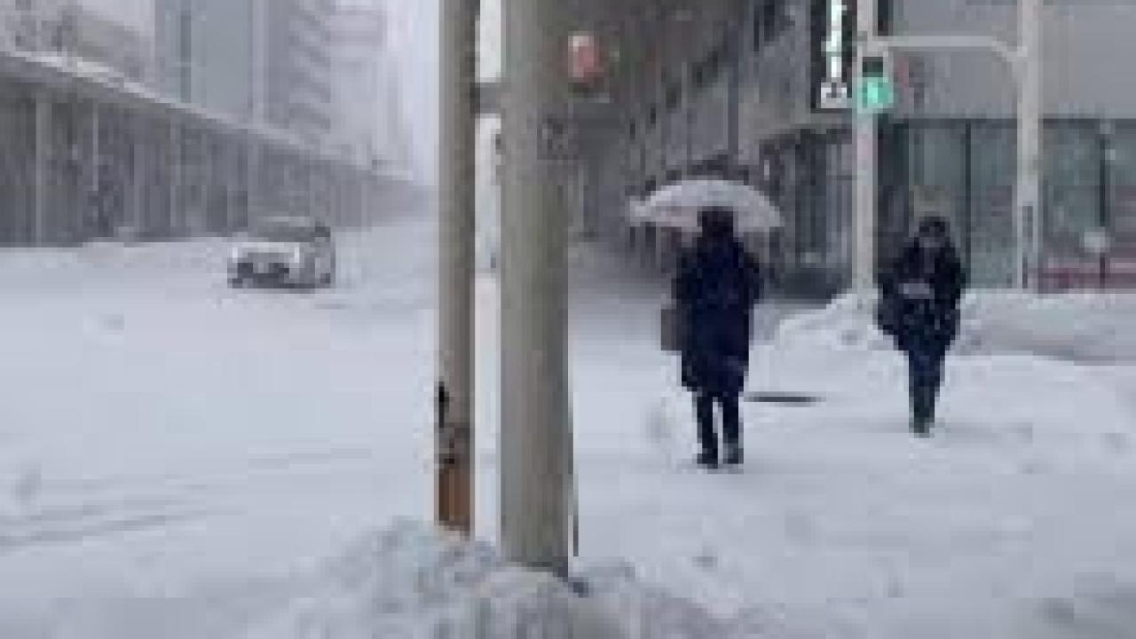 Japonya'daki kar fırtınasında ölü sayısı 46'ya yükseldi