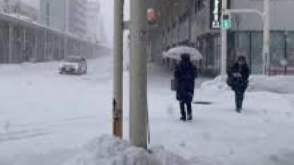 Japonya'daki kar fırtınasında ölü sayısı 46'ya yükseldi