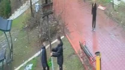 Kuş yuvasını parçalayan 4 çocuğa ev hapsi cezası