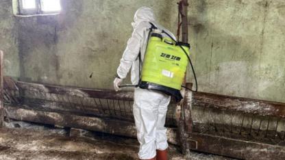 Yüksekova’da kuduz alarmı