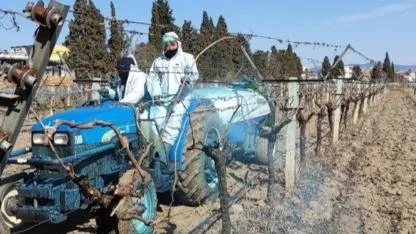 Bordo bulamacı uyarısı: Uygulama zamanını kaçırmayın