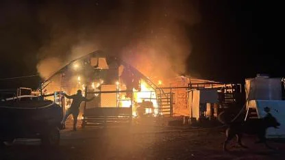 Bursa’da çiftlikte yangın: 580 kanatlı hayvan telef oldu