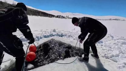 Buzla kaplı gölette nefes kesen dalış