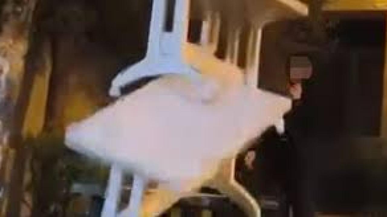 Cami bahçesindeki masalara zarar veren çocuklar kameraya yakalandı