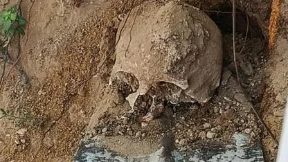 Fidan dikimi sırasında insan kafatası ve kemik parçaları bulundu