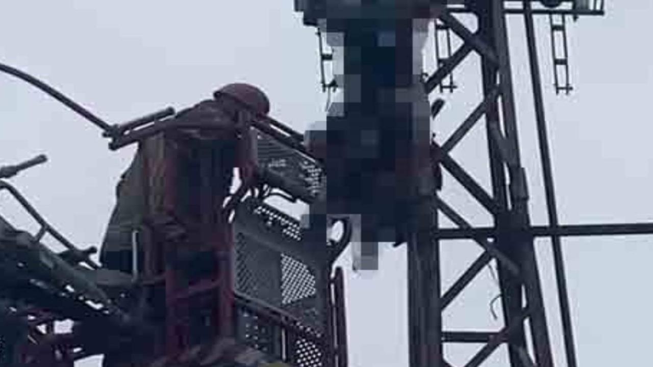 Hırsızlık için çıktığı elektrik direği sonu oldu