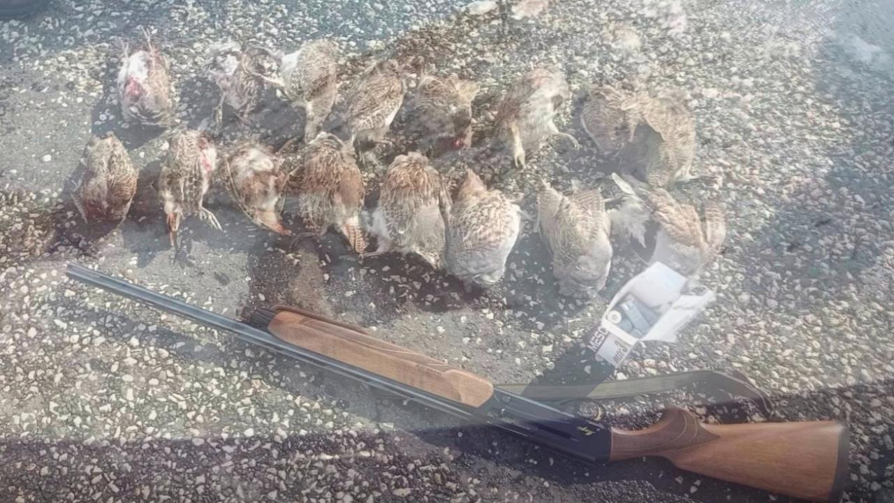 Kaçak ve usulsüz avlanmaya geçit vermiyorlar