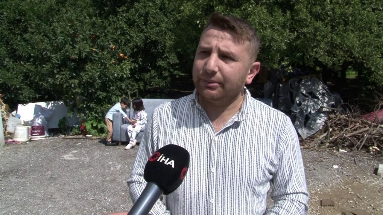 Köpek sürüsü kediyi parçaladı, korkudan çocuğunu okuldan aldı