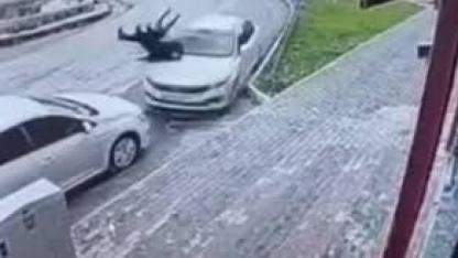 Şırnak’ta otomobil yayalara çarptı: 2 yaralı