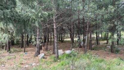 Anne ve oğlunu öldüren katil akrabaların çaldıkları altınları kuyumcuya sattıkları ortaya çıktı