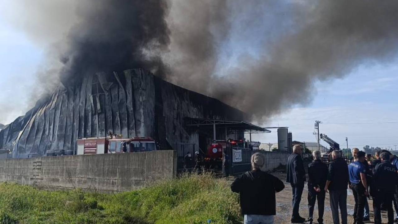Antalya’da patates üretim tesisinde yangın