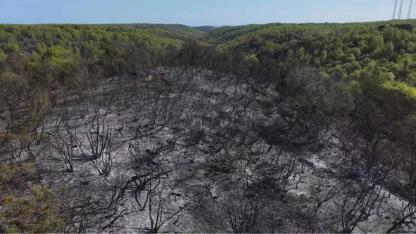 Beykoz’daki yangının bilançosu gün ağarınca ortaya çıktı