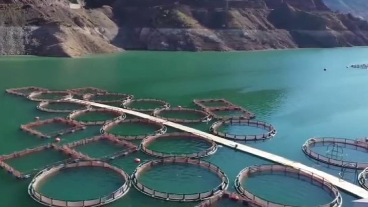 Erzurum’da 3,38 milyar destekle 5 bin 226 kişilik istihdam oluştu