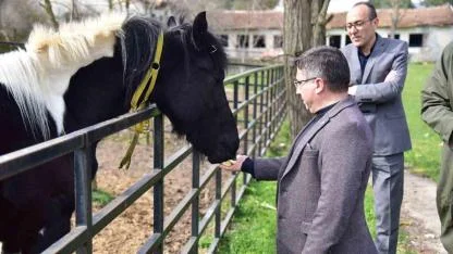 İlk tüp tay Balat 2 yaşında