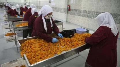 Malatya'da kayısı ihracatı Mart ayında 20 milyon doları aştı