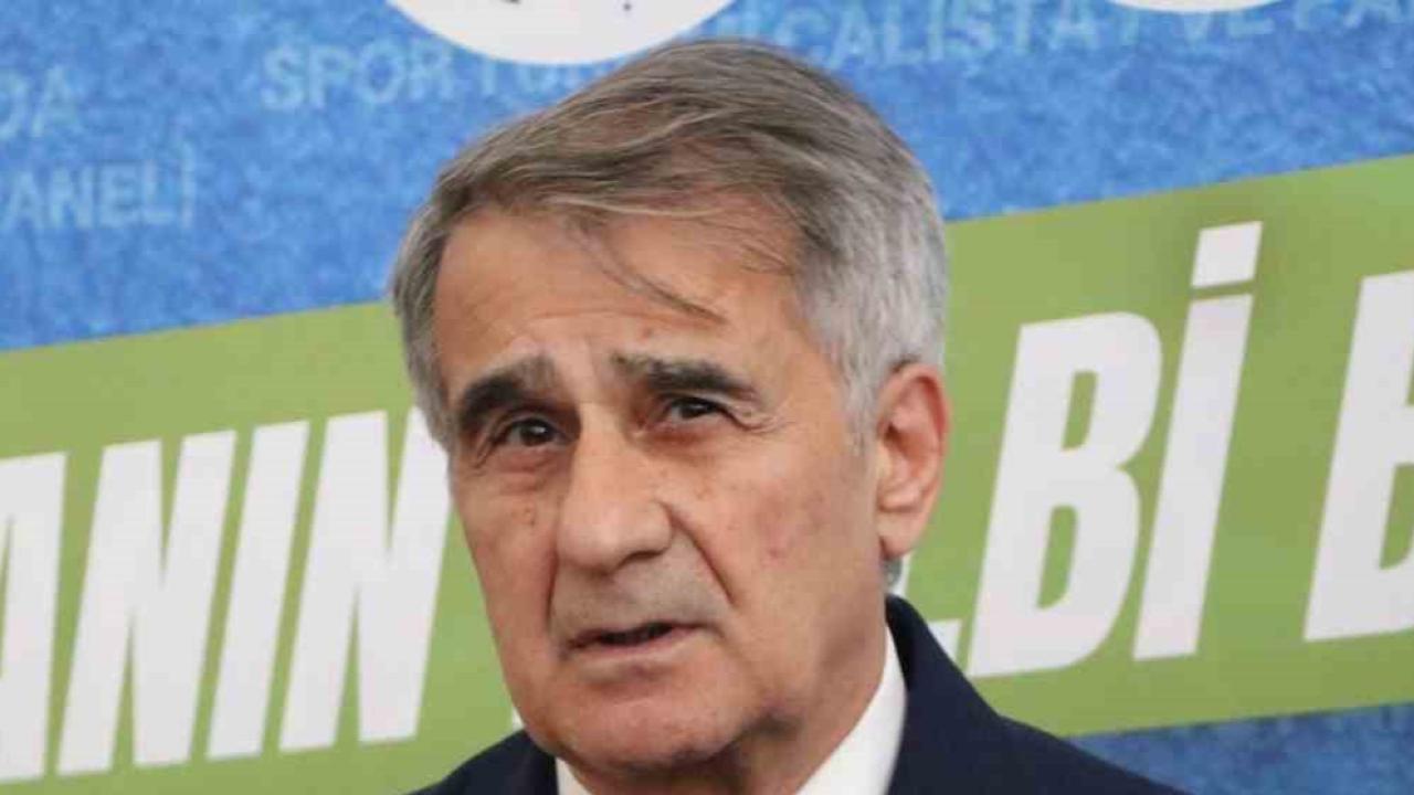 Şenol Güneş: "Milli takımın çeyrek finale kadar rahat gelebilecek bir görüntüsü var"