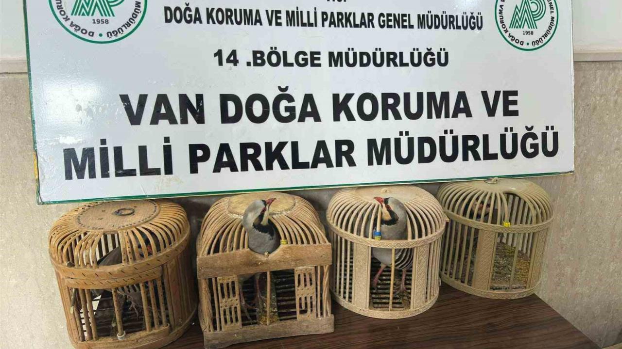 Van’da keklik avlayan şahsa 86 bin 278 lira para cezası