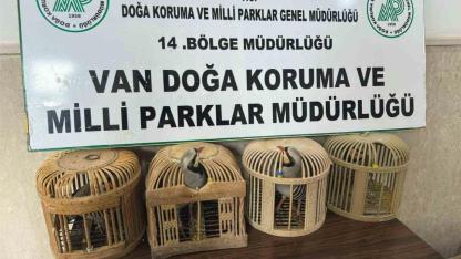 Van’da keklik avlayan şahsa 86 bin 278 lira para cezası