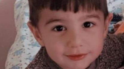 Van’daki köpek dehşetinde kan donduran detaylar