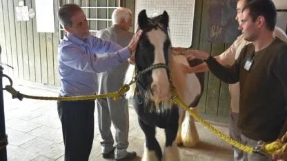 Yaşlılar için atla terapi dönemi başladı