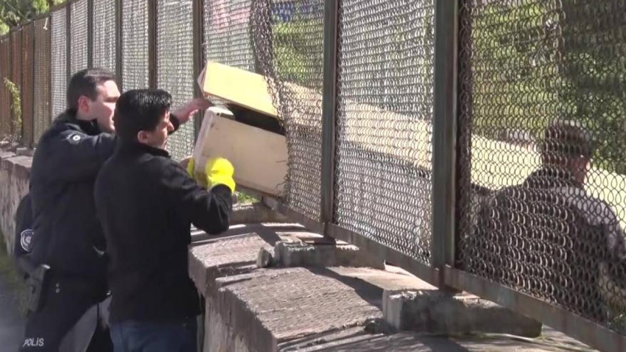 Maltepe’de ormanda erkek cesedi bulundu